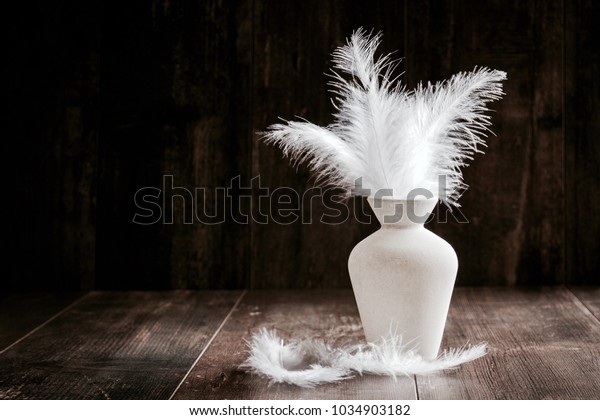 White Feathers Vase Against Dark Vintage Stock Photo Edit Now