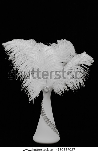 White Feathers Vase Silver Vintage Costume Royalty Free Stock Image