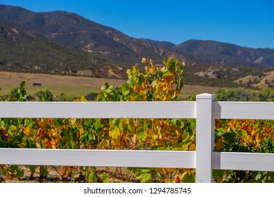 White fence with colorful grape leaves.Near Aguanga, California1 October 2017 - Shutterstock ID 1294785745