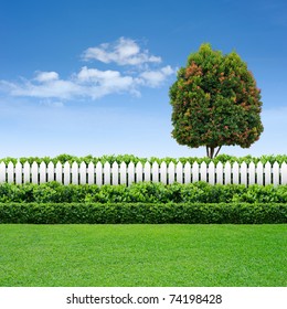 white fence and green hedge with tree on blue sky