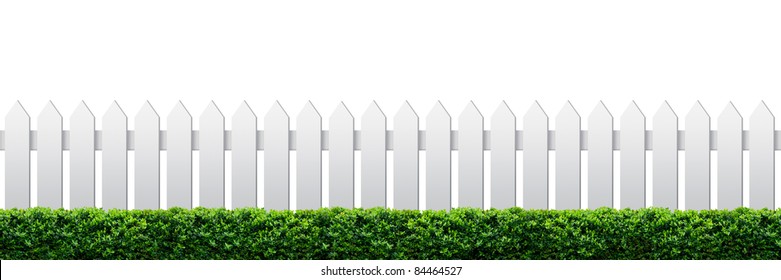 White fence and hedge on white background
