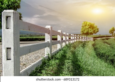 White fence in the tea plantation