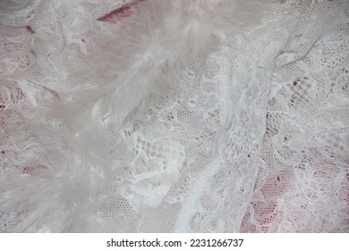 White fine lace and feathers. Backgrounds - Shutterstock ID 2231266737