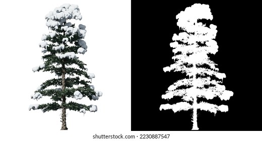 White Fir Tree isolated on white background with alpha clipping mask - Powered by Shutterstock