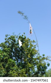 White Flag Symbol Of Activity Thailand Culture Kathin Ceremony. Donation Merit Money Tree At Thai Buddhism Temple. 