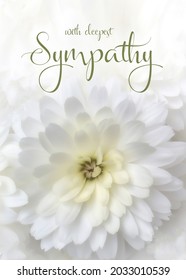 White floral sympathy greeting card. White chrysanthemum with condolence message. Vertical orientation. Elegant sympathy background.
