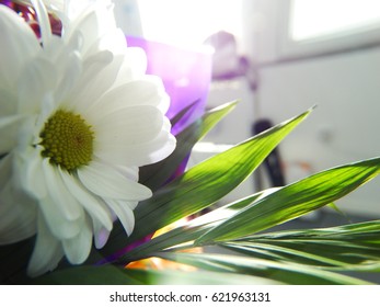 White Flower