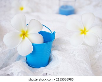 White Flower In Blue Pot On White Embroidered Cloth ,still Life For Pretty Background Or Wallpaper ,copy Space For Letter ,still Life ,women Day ,Hawaiian Lei ,arrangement Plumeria Flower ,creative 