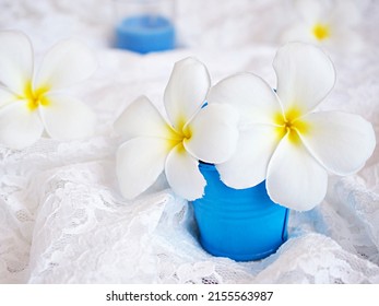 White Flower In Blue Pot On White Embroidered Cloth ,still Life For Pretty Background Or Wallpaper ,copy Space For Letter ,still Life ,women Day ,Hawaiian Lei ,arrangement Plumeria Flower ,creative 