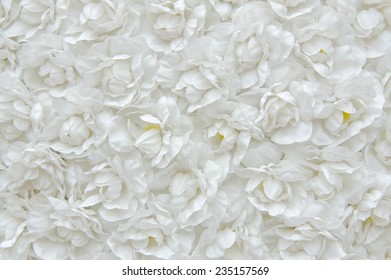 white flower of the fabric, floral background