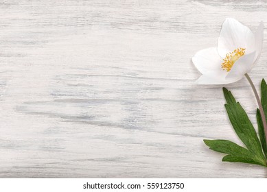 White flower on white background. Blank space on wooden board.