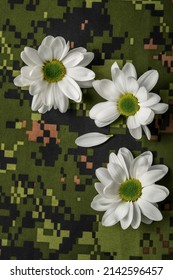 White flower representing peace on a military camouflage pattern background.