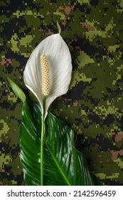 White flower representing peace on a military camouflage pattern background.