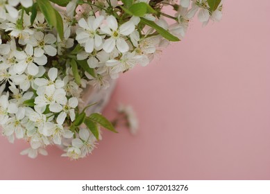 White Flowers Cherry Blossoms Bunch Spring Pink Background Card Greeting