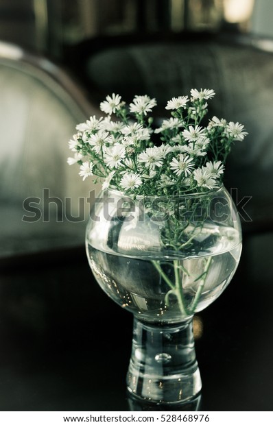 White Flowers Clear Glass Vase Decorations Stock Photo Edit Now