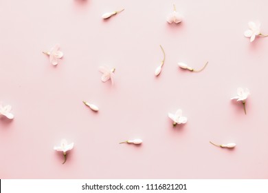 白い花は、柔らかいピンクのパステル色にフラットレイ型。天然花柄の壁紙。ワイチア・レリジオサ・ベンスの写真素材
