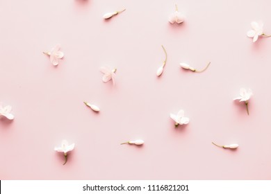 White Flowers Flatlay Style Soft Pink Pastel Color. Natural Floral Wallpaper. Wrightia Religiosa Benth