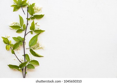 white flowers and leaf arrangement on background white - Shutterstock ID 1045650310