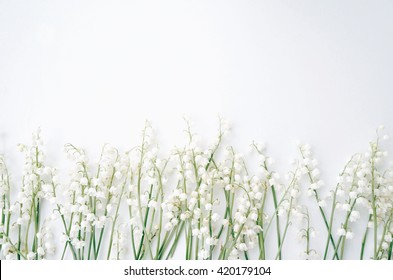 White flowers on a white background. Styled photo. Lilly of the valley