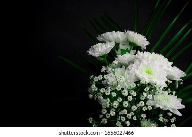 White Flowers On Black Background