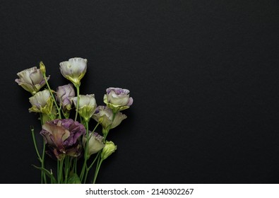 White Flowers On Black Background. Lisianthus On A Dark Background. Flowers For The Funeral. Copy Space. Moke Up. Eustoma Flower (lisianthus). Funeral Symbols	