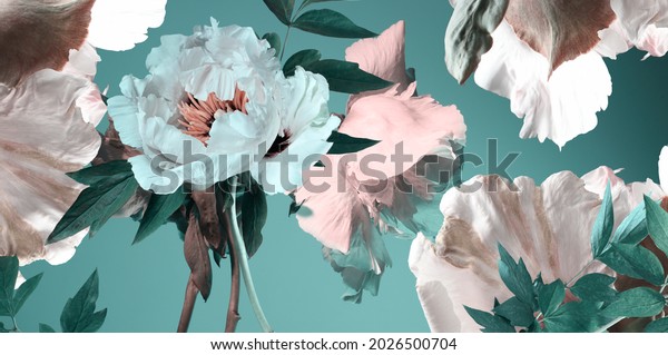 white flowers on a turquoise background, floral wallpaper, peonies and foliage, studio shot.