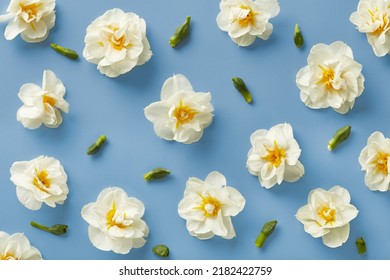White Flowers Pattern On A Blue Background Viewed From Above. Top View