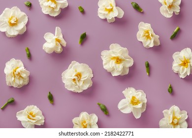 White Flowers Pattern On A Purple Background Viewed From Above. Top View