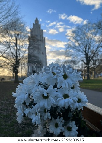 White flowers placed on a bench in War Memorial park