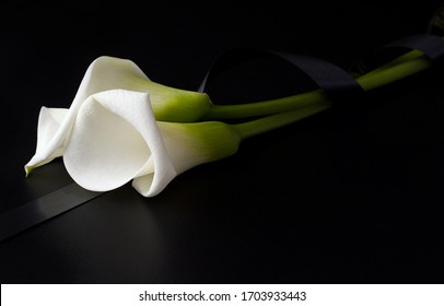 White Flowers Of Zantedesia Tied With A Mourning Ribbon On A Black Background. Copy Space. Concept Of Sorrow And Death