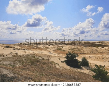 White fluffy clouds float across the blue sky, there is a desert with green trees on the ground
