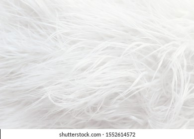 White Fluffy Fur Texture For Background