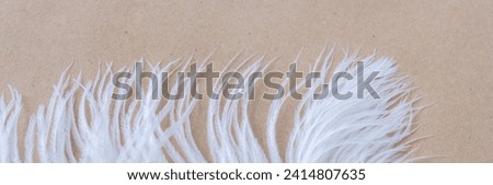 White fluffy ostrich feathers close up on craft paper background with copy space for text, soft and elegance concept, bird feather texture banner