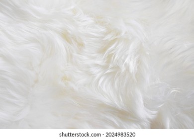 White Fluffy Sheepskin Rug Close Up