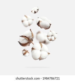 Weiße, fliegende Baumwollblumen einzeln auf hellgrauem Hintergrund. Feine Schönheit, Baumwollhintergrund. Natürliche organische Fasern, Landwirtschaft, Baumwollsamen, Rohstoffe für Gewebe