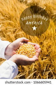 White Fourth Of July Graphic In Circle Against Cornfield And Hands Filled With Corn