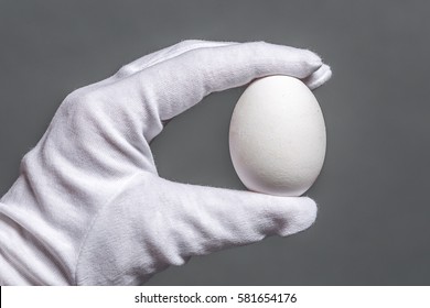 White Fragile Egg Held By Hand In A White Cotton Glove On Grey Background