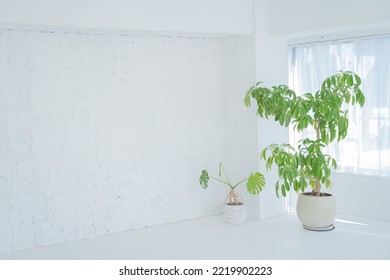 White Fresh Living Room Wall Background Without People