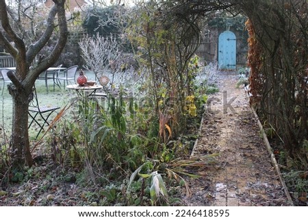 White frost ice freezing morning beautiful Winter landscape view in Norfolk English country, espalier pear tree grass lawn barren trees and plants in Winter with secret door  path under a rose arch