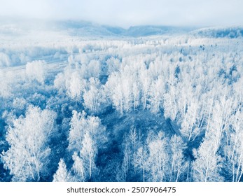 White frost-covered trees in winter forest at foggy sunrise. Aerial view. Clouds over the mountains and forest. Winter landscape - Powered by Shutterstock