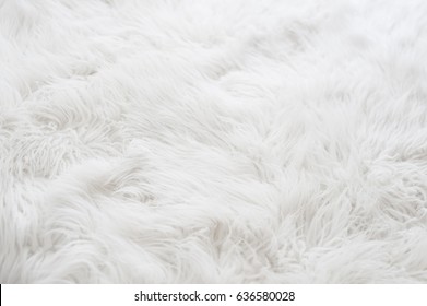 White Fur Background