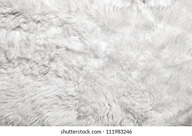 White Fur Background. Close Up