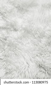 White Fur Background. Close Up