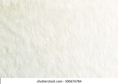 White Fur Background. Close Up