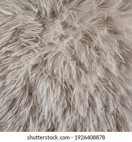 White fur background. Copy space