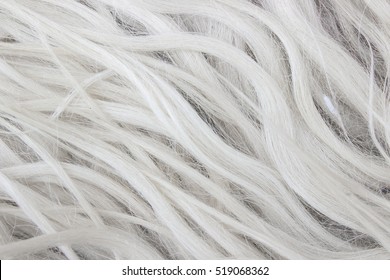 White Fur Close Up