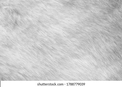 White Fur Fabric Texture Background