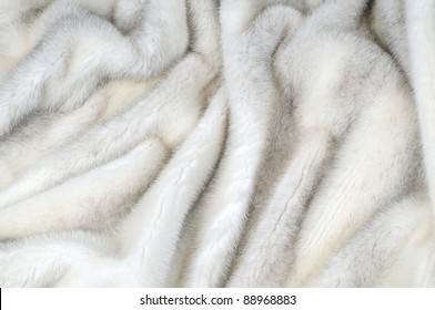 White Fur Mink Background Texture