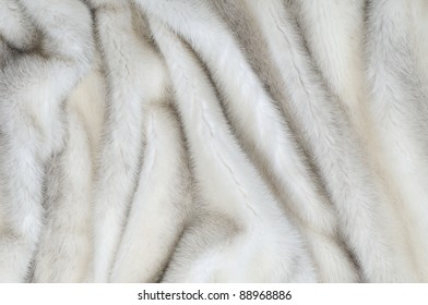 White Fur Mink Background Texture