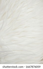 a white fur textile texture and background - Shutterstock ID 1667876059